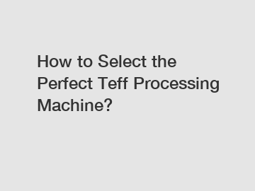 How to Select the Perfect Teff Processing Machine?