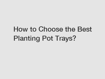 How to Choose the Best Planting Pot Trays?