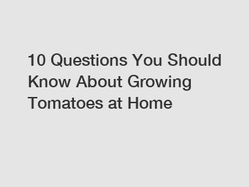 10 Questions You Should Know About Growing Tomatoes at Home