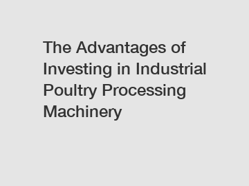 The Advantages of Investing in Industrial Poultry Processing Machinery