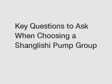 Key Questions to Ask When Choosing a Shanglishi Pump Group