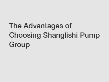 The Advantages of Choosing Shanglishi Pump Group