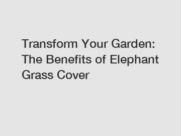 Transform Your Garden: The Benefits of Elephant Grass Cover