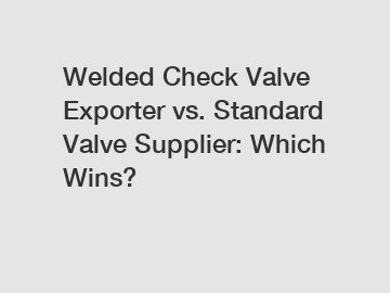 Welded Check Valve Exporter vs. Standard Valve Supplier: Which Wins?