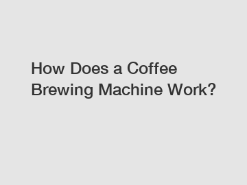 How Does a Coffee Brewing Machine Work?