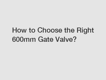 How to Choose the Right 600mm Gate Valve?