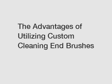 The Advantages of Utilizing Custom Cleaning End Brushes