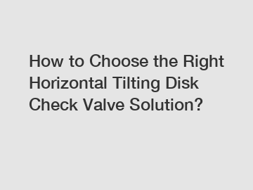 How to Choose the Right Horizontal Tilting Disk Check Valve Solution?