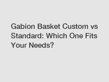 Gabion Basket Custom vs Standard: Which One Fits Your Needs?