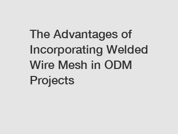 The Advantages of Incorporating Welded Wire Mesh in ODM Projects