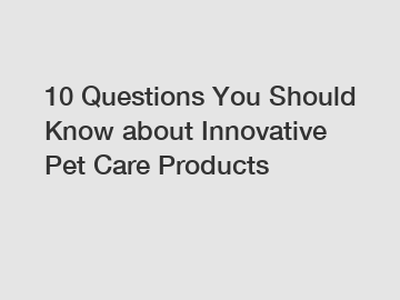 10 Questions You Should Know about Innovative Pet Care Products