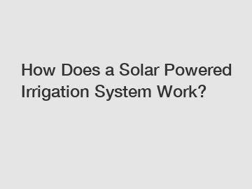 How Does a Solar Powered Irrigation System Work?