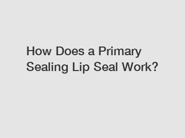 How Does a Primary Sealing Lip Seal Work?