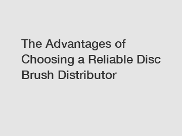 The Advantages of Choosing a Reliable Disc Brush Distributor