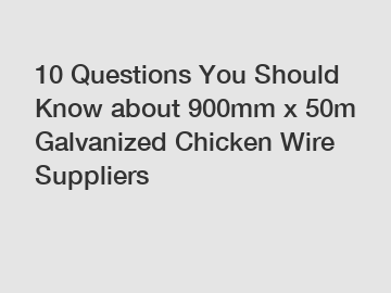 10 Questions You Should Know about 900mm x 50m Galvanized Chicken Wire Suppliers