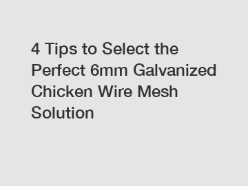 4 Tips to Select the Perfect 6mm Galvanized Chicken Wire Mesh Solution