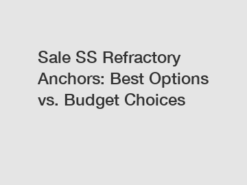 Sale SS Refractory Anchors: Best Options vs. Budget Choices