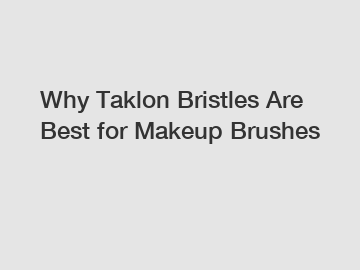 Why Taklon Bristles Are Best for Makeup Brushes