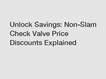 Unlock Savings: Non-Slam Check Valve Price Discounts Explained
