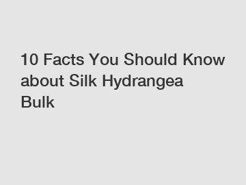 10 Facts You Should Know about Silk Hydrangea Bulk