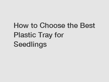 How to Choose the Best Plastic Tray for Seedlings