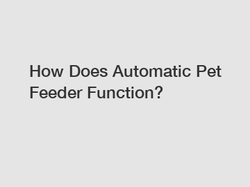 How Does Automatic Pet Feeder Function?