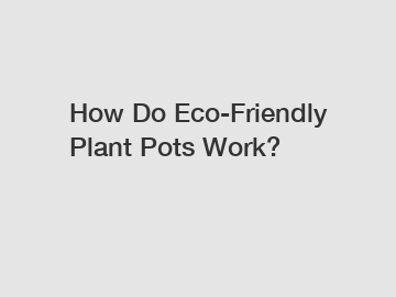 How Do Eco-Friendly Plant Pots Work?