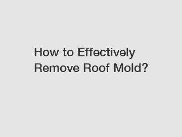 How to Effectively Remove Roof Mold?