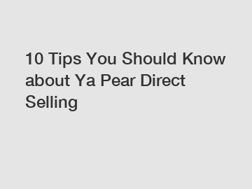 10 Tips You Should Know about Ya Pear Direct Selling