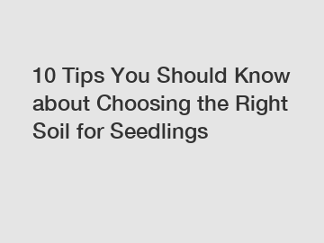 10 Tips You Should Know about Choosing the Right Soil for Seedlings