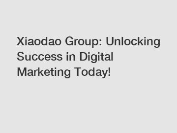 Xiaodao Group: Unlocking Success in Digital Marketing Today!