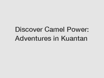 Discover Camel Power: Adventures in Kuantan