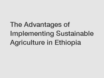 The Advantages of Implementing Sustainable Agriculture in Ethiopia