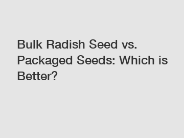 Bulk Radish Seed vs. Packaged Seeds: Which is Better?