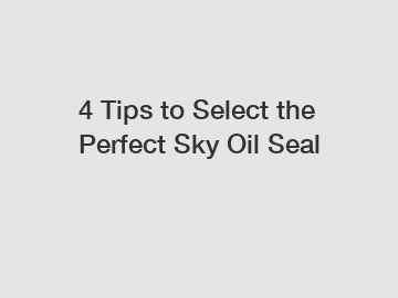 4 Tips to Select the Perfect Sky Oil Seal