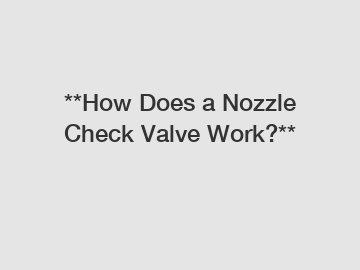 **How Does a Nozzle Check Valve Work?**