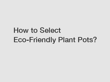 How to Select Eco-Friendly Plant Pots?