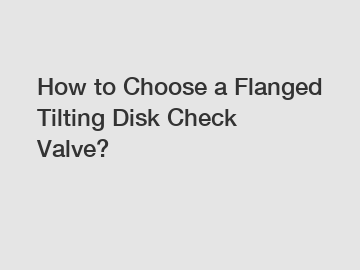 How to Choose a Flanged Tilting Disk Check Valve?
