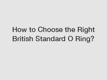 How to Choose the Right British Standard O Ring?