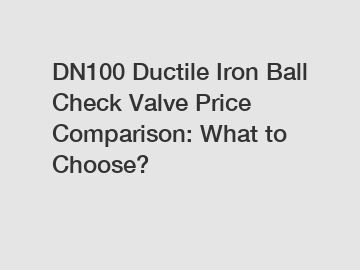 DN100 Ductile Iron Ball Check Valve Price Comparison: What to Choose?