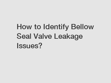 How to Identify Bellow Seal Valve Leakage Issues?