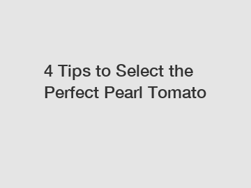4 Tips to Select the Perfect Pearl Tomato
