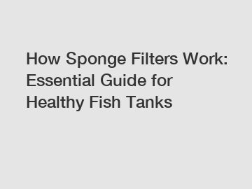 How Sponge Filters Work: Essential Guide for Healthy Fish Tanks