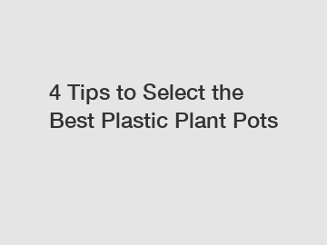 4 Tips to Select the Best Plastic Plant Pots