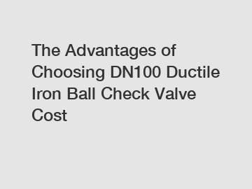 The Advantages of Choosing DN100 Ductile Iron Ball Check Valve Cost