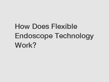 How Does Flexible Endoscope Technology Work?