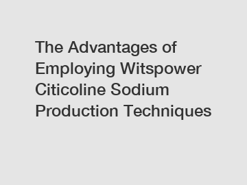 The Advantages of Employing Witspower Citicoline Sodium Production Techniques