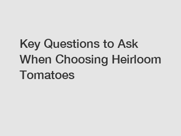 Key Questions to Ask When Choosing Heirloom Tomatoes
