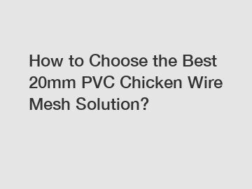 How to Choose the Best 20mm PVC Chicken Wire Mesh Solution?