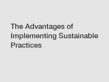 The Advantages of Implementing Sustainable Practices